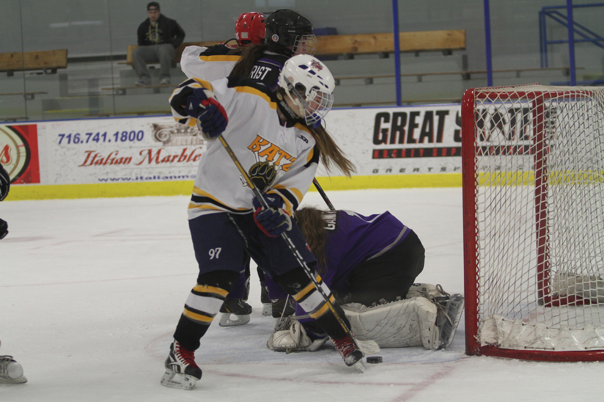 Amh-SH-Hockey