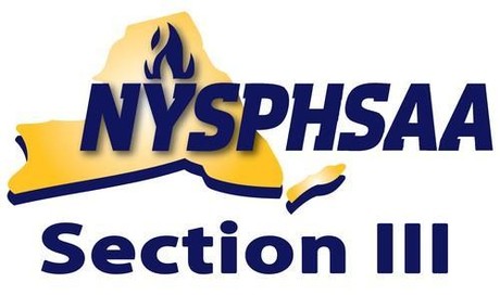 Section III Logo