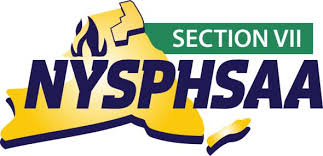 Section VII Logo